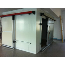 Fish Deep Freezer with Insulation